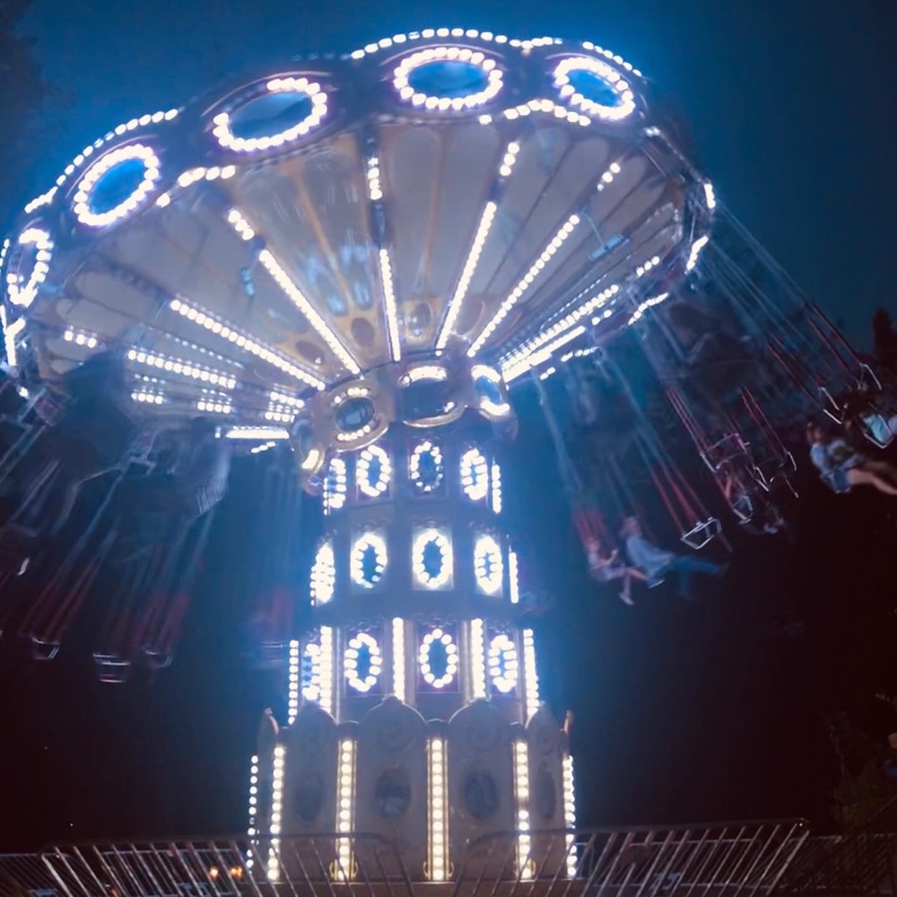 Meet your Posher, Holly